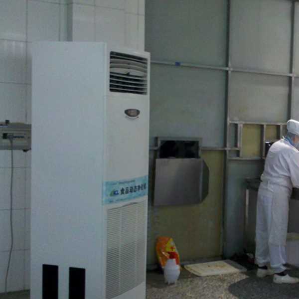 岳阳食品正负离子空气杀菌器